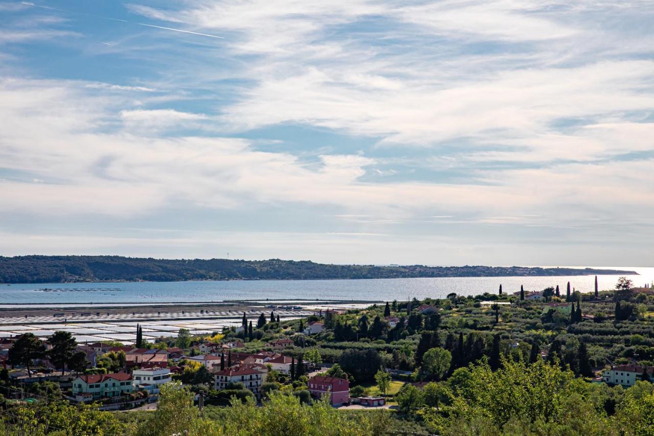 Larabella Salt Fields View Studio Порторож Екстериор снимка
